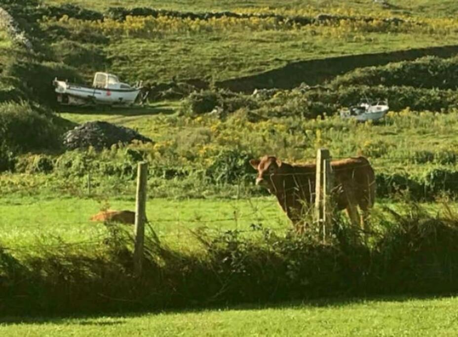 Holiday home Luxurious Property, Paddy's Haven, Wild Atlantic Way, County Clare